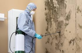 Asbestos and Lead Testing During Mold Inspection